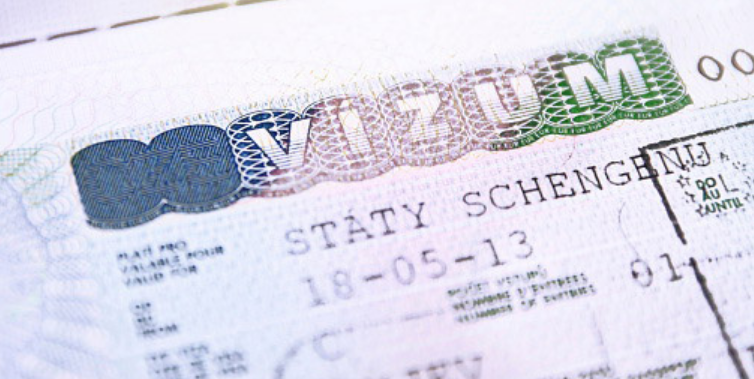 cfeee-2024-visa